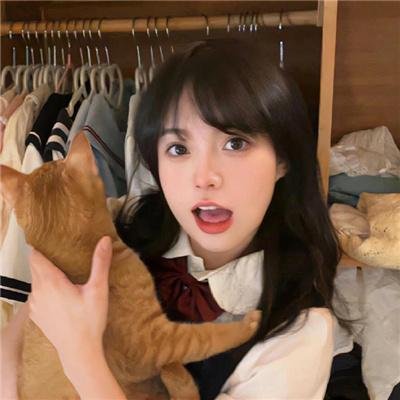 波拉大历险