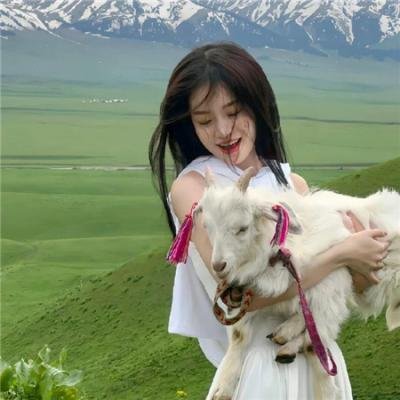 告白实行委员会：告白预演