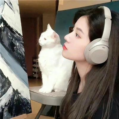 遁入宁静